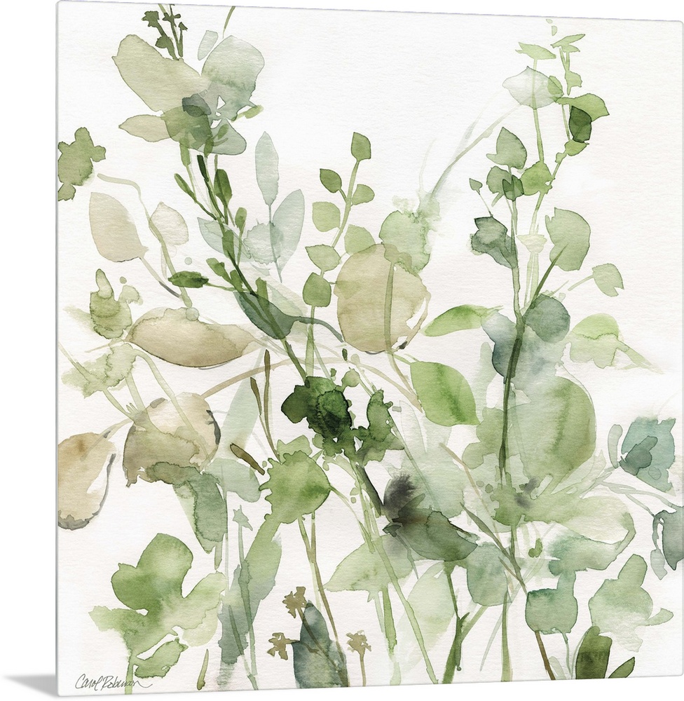 Square watercolor painting of a sage garden in shades of green and beige on a white background.