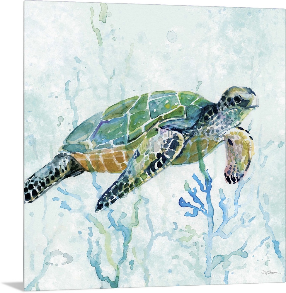 Square watercolor painting of a sea turtle swimming amongst seaweed in shades of blue and green.