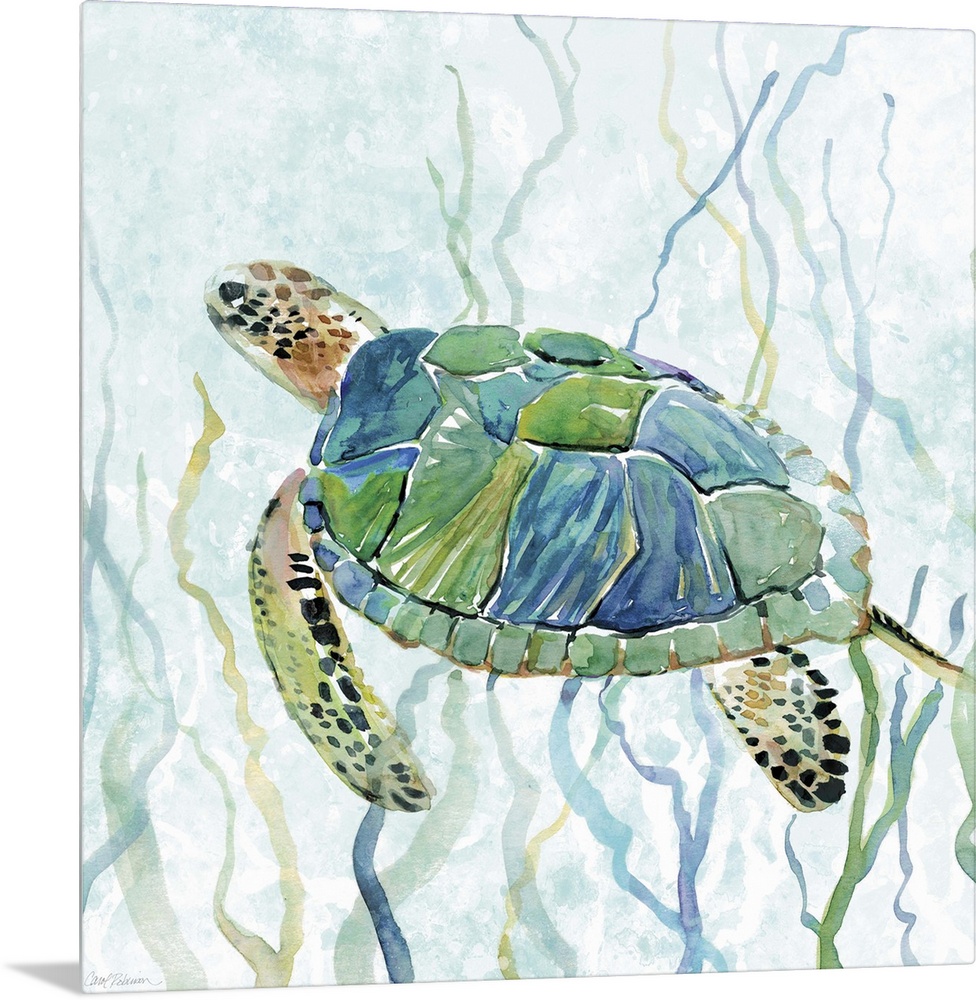 Square watercolor painting of a sea turtle swimming amongst seaweed in shades of blue and green.