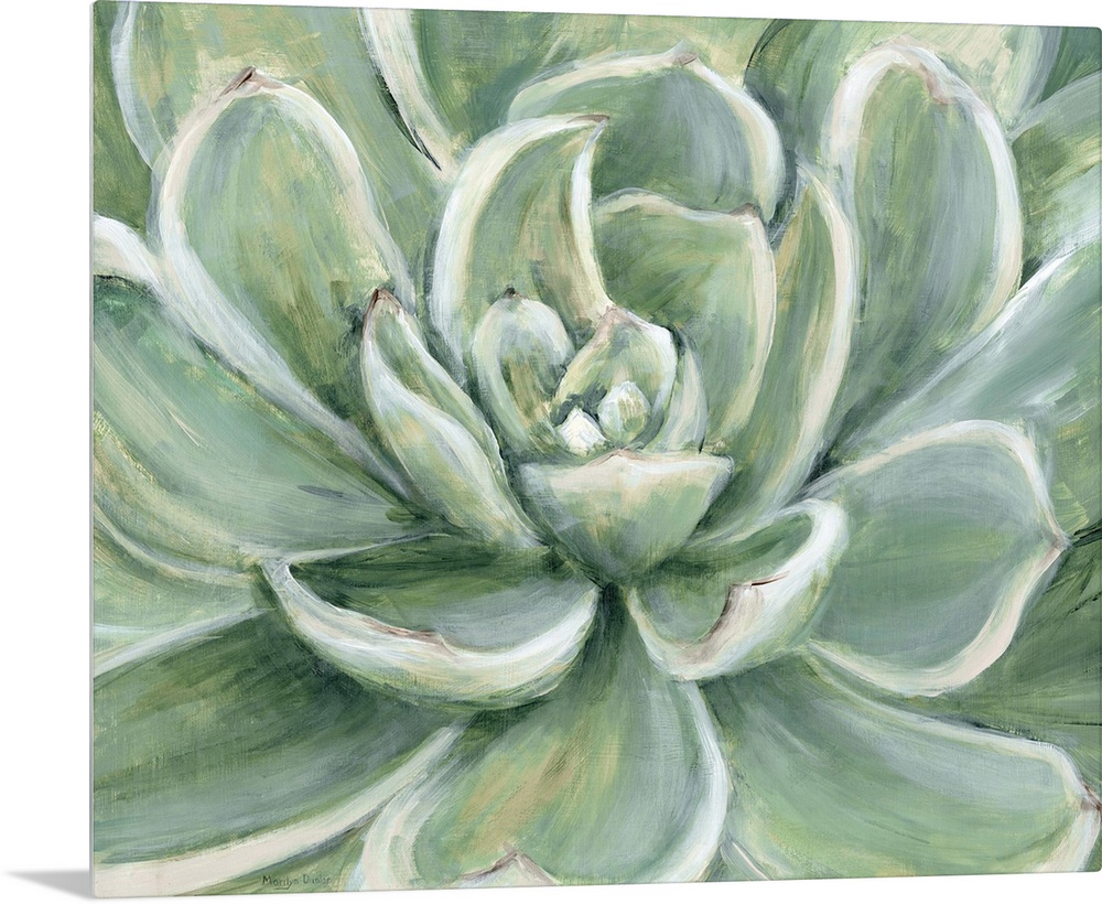 Contemporary painting of a close-up succulent.