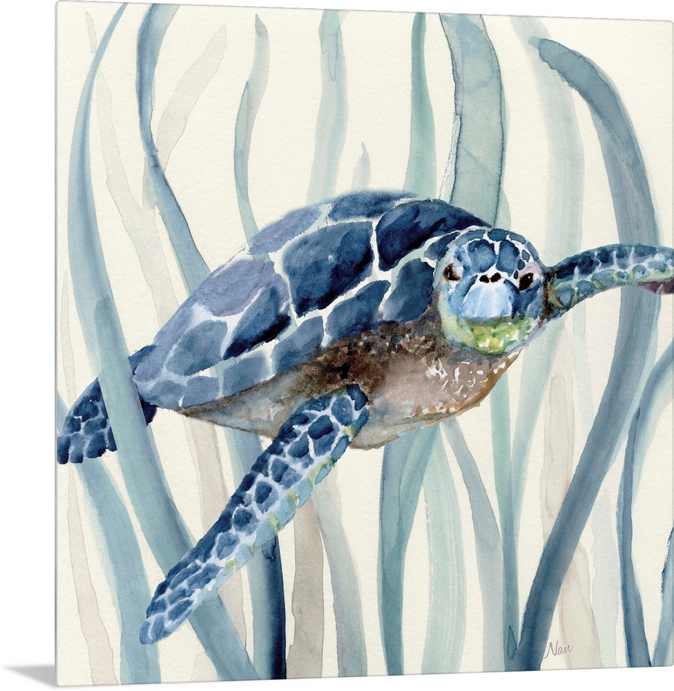 Square watercolor painting of a sea turtle  swimming through seagrass in shades of blue.