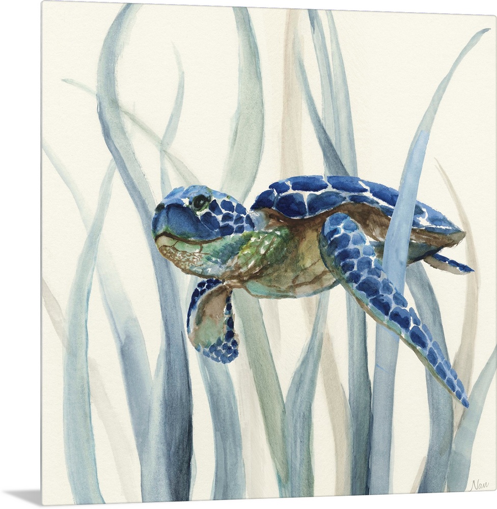 Square watercolor painting of an indigo, green, and brown sea turtle underwater in swimming through seagrass on an off whi...