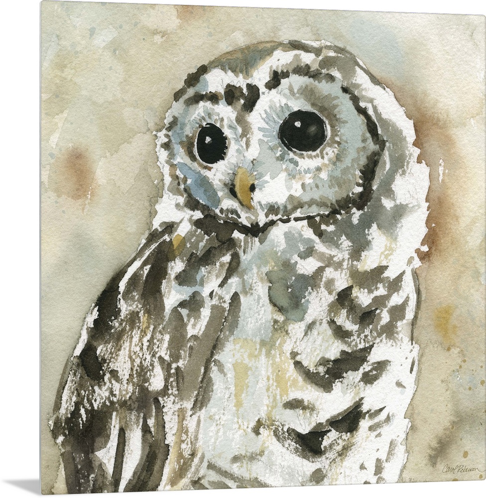 A watercolor painting of an abstract  woodland owl.