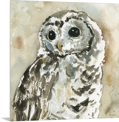 Woodland Owl