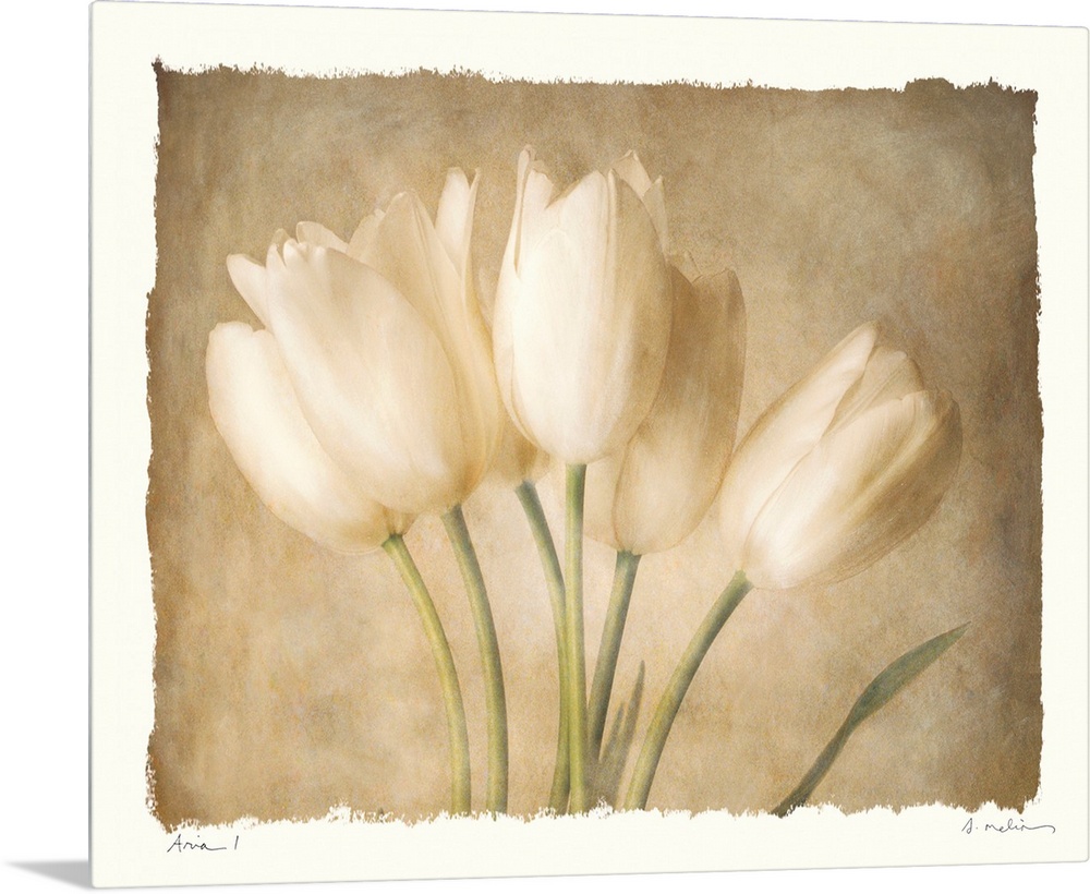 Decorative painting of a small bouquet of tulips in subtle, neutral tones, on a white background.