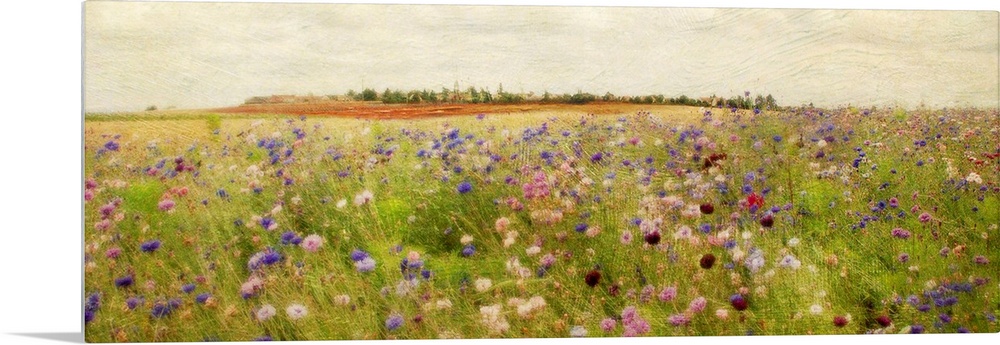 A colorful field of painted wildflowers beneath a clear, open sky on a large, horizontal wall hanging.