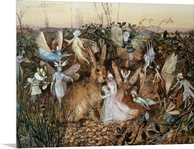 A Rabbit Among The Fairies