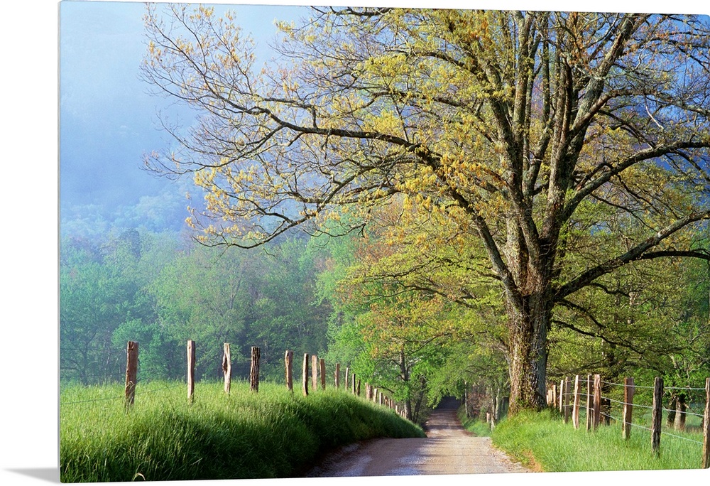 Cades Cove Lane In Great Smoky Mountains National Park