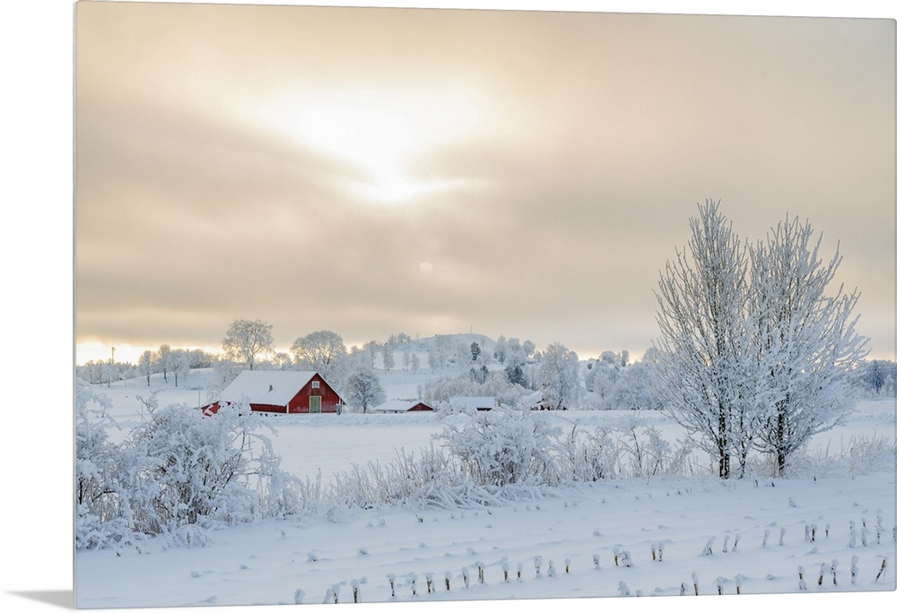 Farm In A Rural Winter Landscape With Snow And Frost