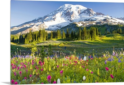 Flowers are purple arctic lupine, Magenta Paintbrush and Beargrass