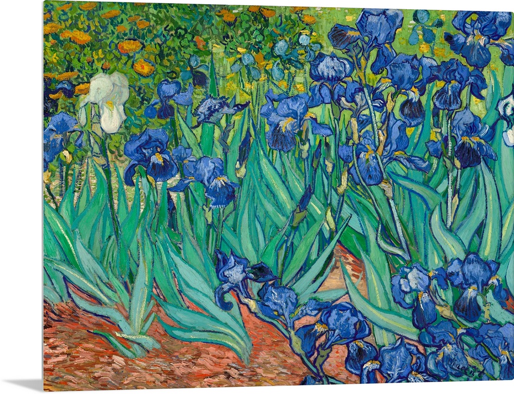 Vincent van Gogh (French, 1853 - 1890), Irises, 1889, oil on canvas, 71.1 x 93 cm (27.9 x 36.6 in), The J. Paul Getty Muse...