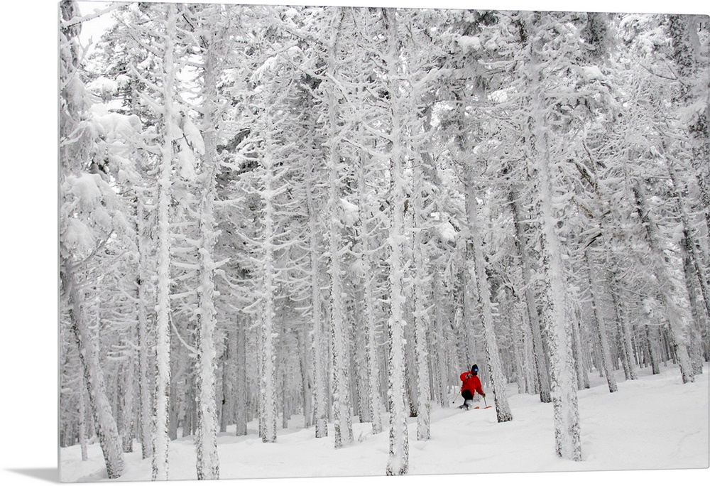 Man Skiing through frost covered forest