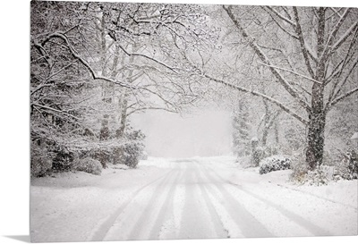 Snowy road in snow storm