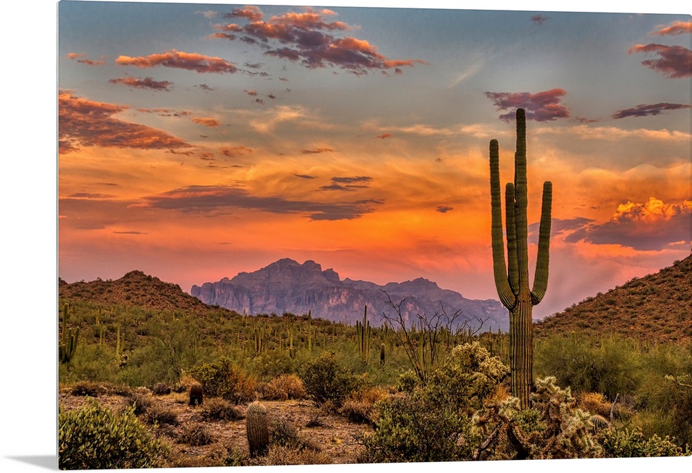 Sunset in the Sonoran Desert near Phoenix, Arizona.