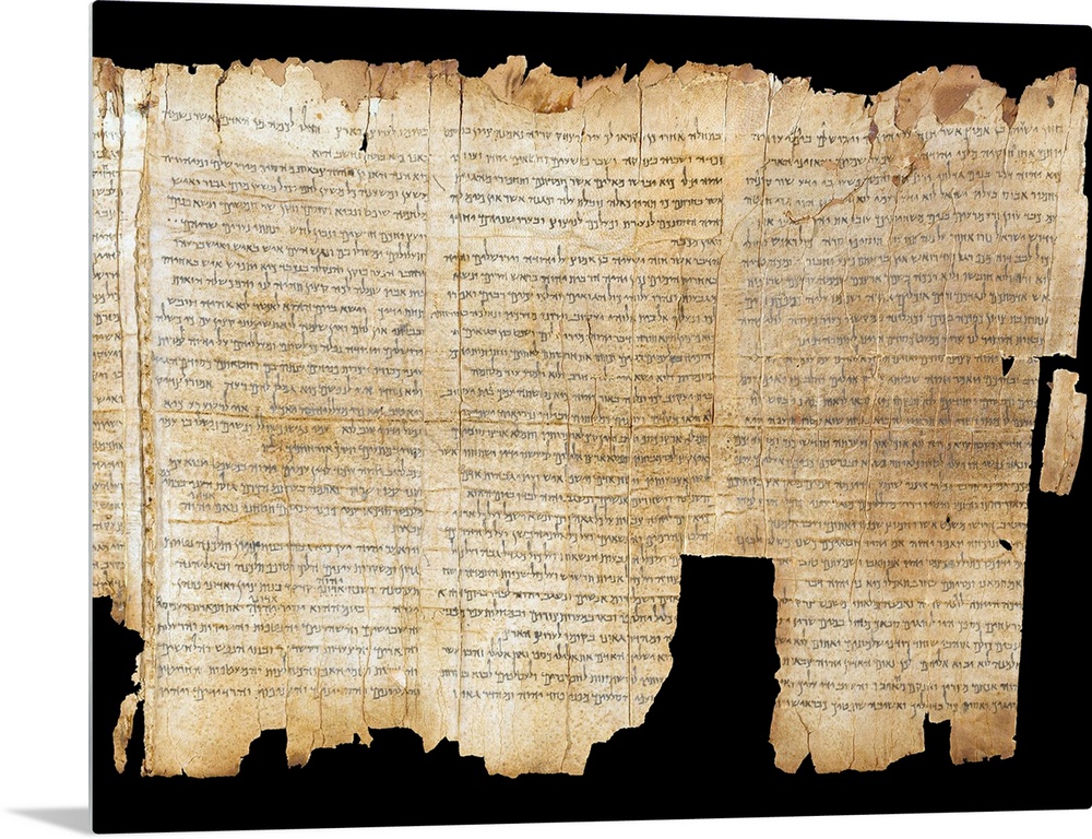 The Temple Scroll, from the Dead Sea Scrolls found at Qumran, scroll number 11Q20, late 1st century BC - early 1st century...