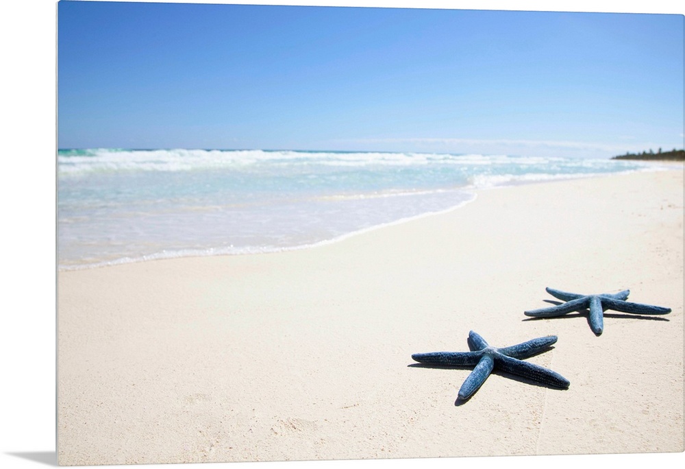 Tropical Central American beach with flawless white sand and gentle waves with two starfish in the foreground.