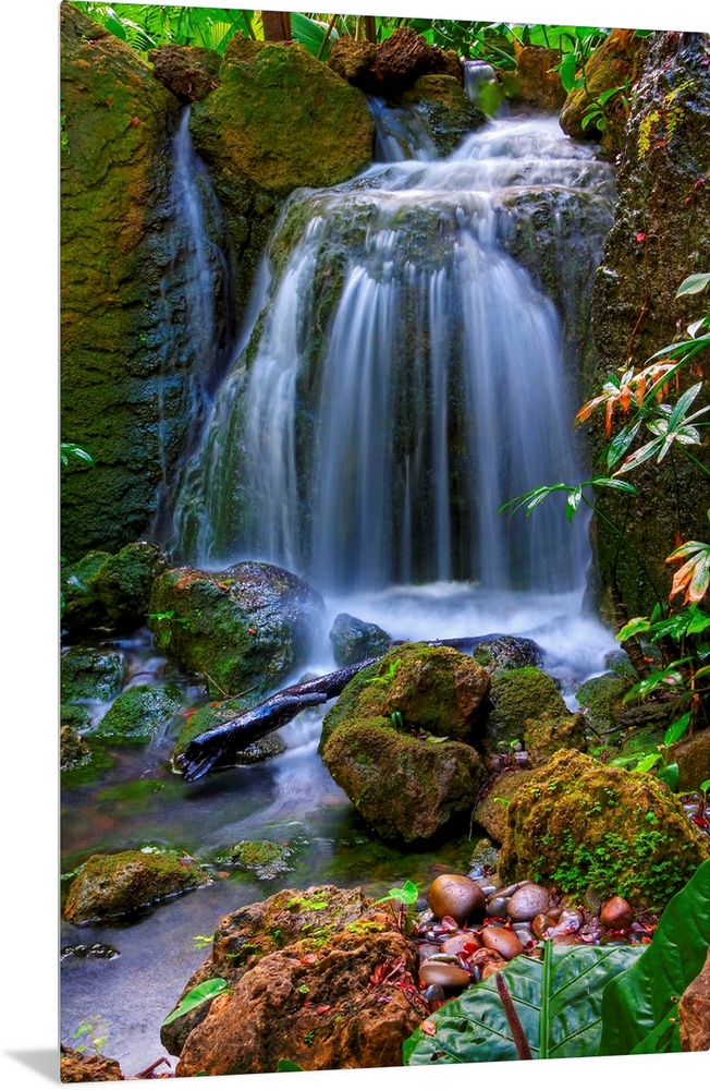 Photograph of cascading water falling into a rocky stream in colorful forest.