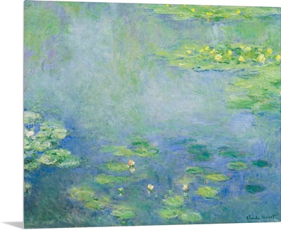 Waterlilies