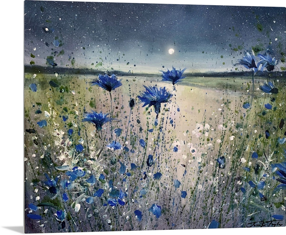 Cornflowers And The Moon No 1