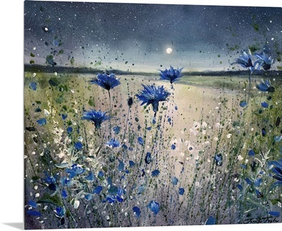 Cornflowers And The Moon No 1