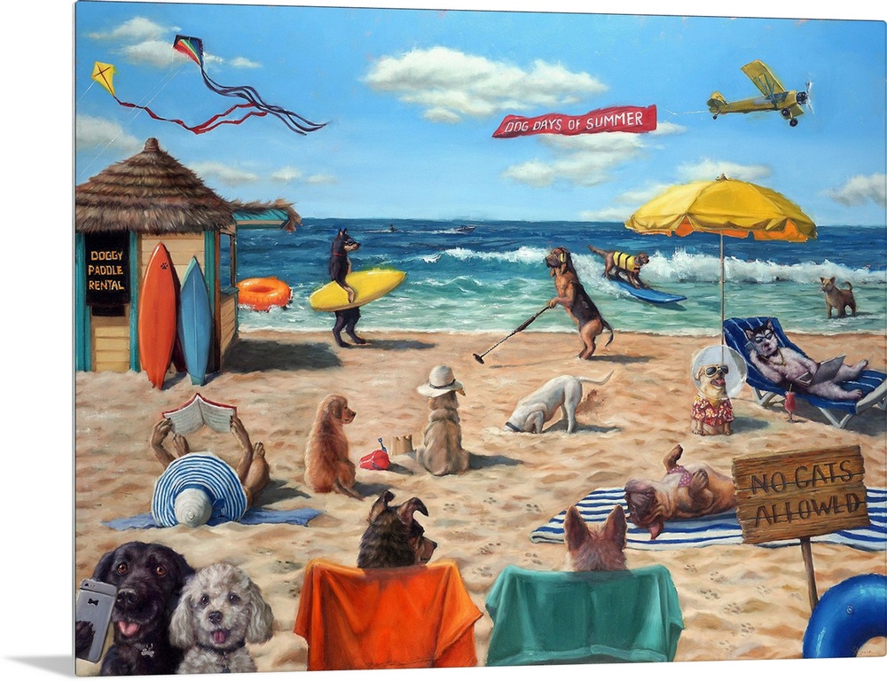 Dog Beach