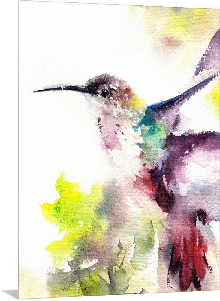 A contemporary watercolor painting of a hummingbird hovering against a white background.