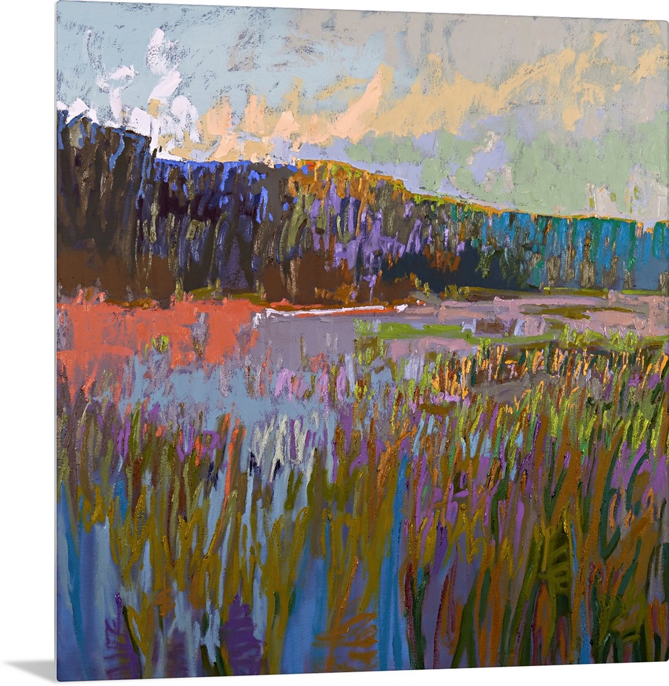 More Than The Eye Can See