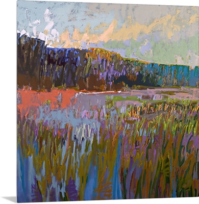 More Than The Eye Can See