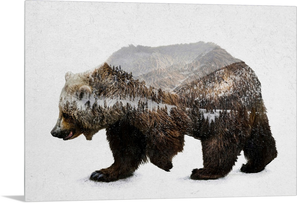 A contemporary piece of artwork of a wilderness scene withing the outline of a brown bear.