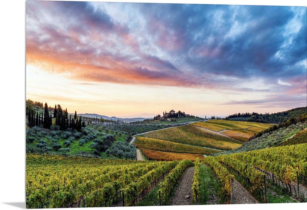 Farmhouse Surrounded By Vineyards At Sunrise. Gaiole In Chianti, Siena Province, Tuscany, Italy.