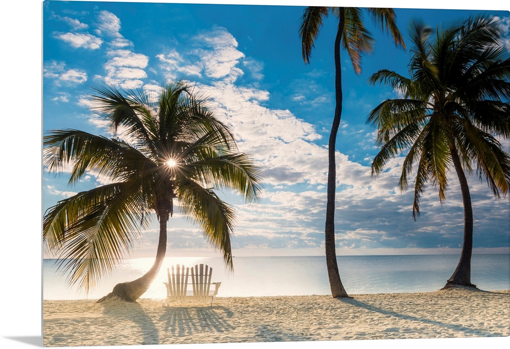 Palm Trees And Love Seat,  Islamorada, Florida Keys, USA