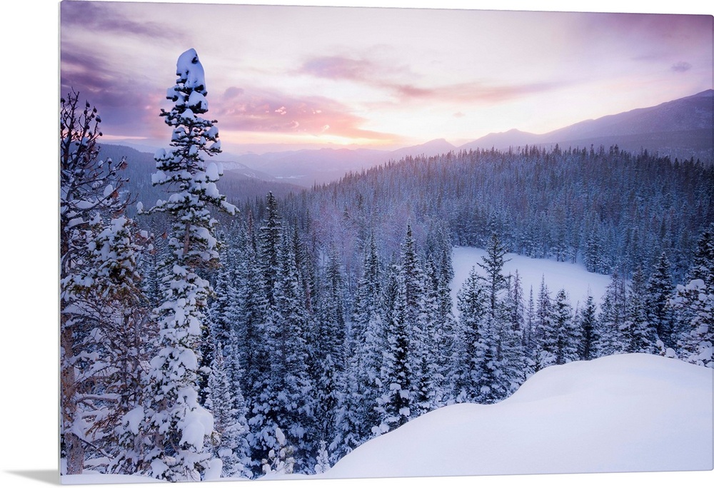 Nature photograph of snow covered trees and  mountains in Colorado as the sun sets.