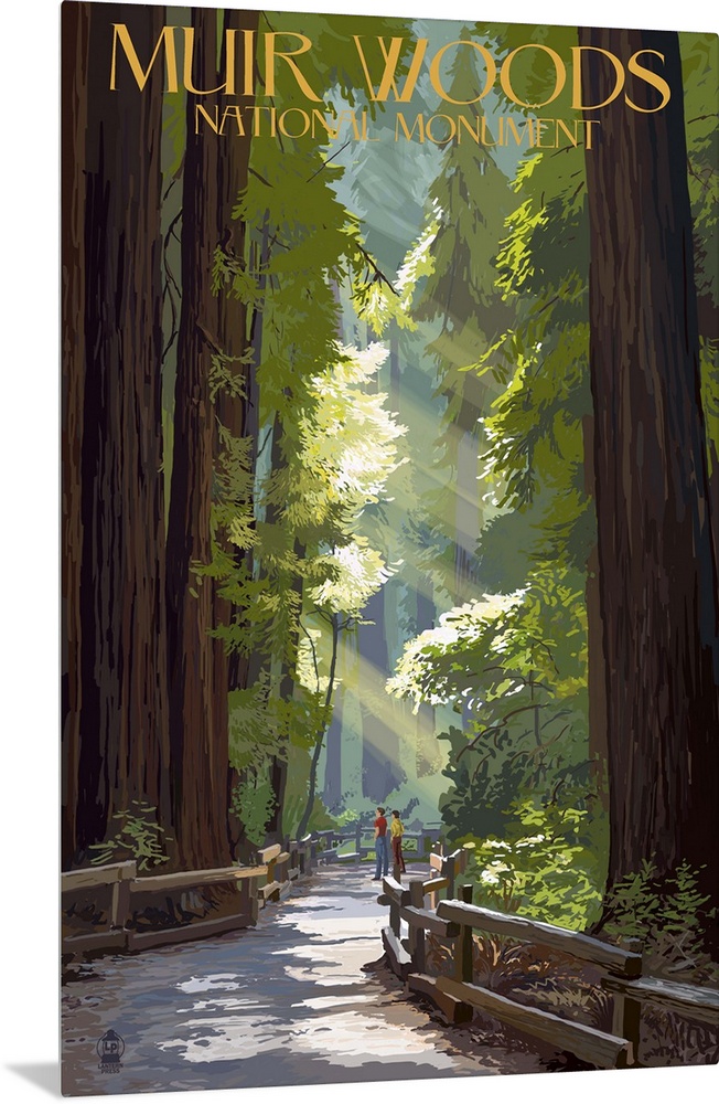 Muir Woods National Monument, California - Pathway: Retro Travel Poster