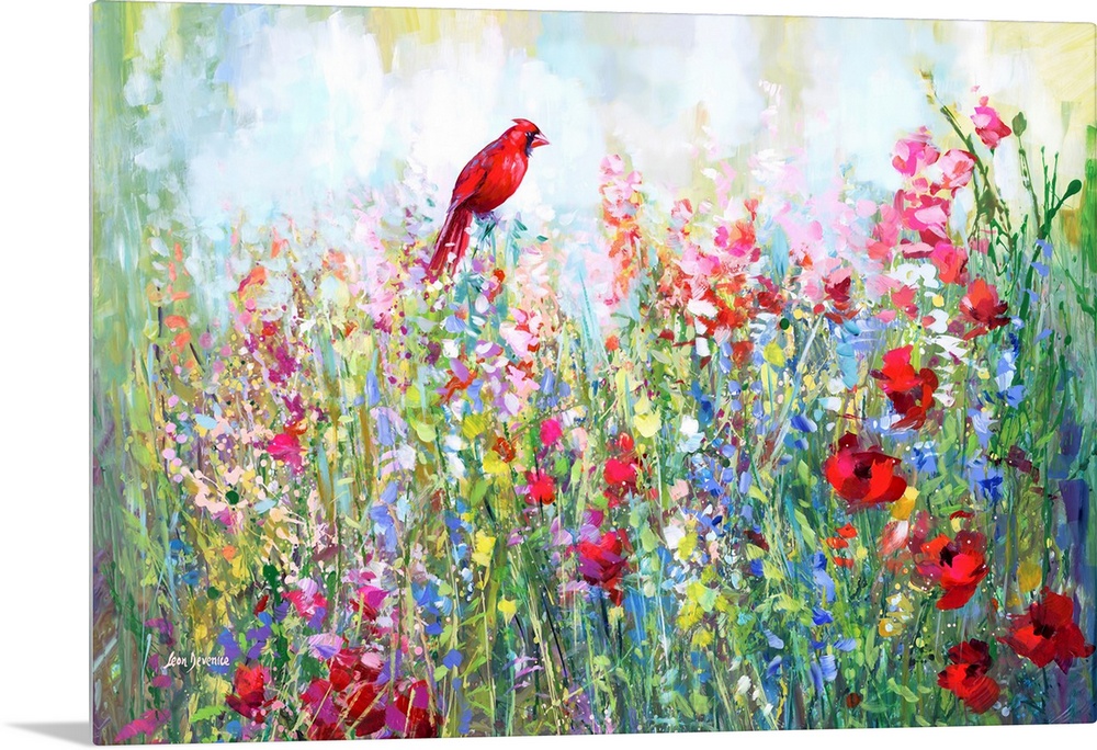 Cardinal among the wildflowers