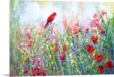 Cardinal among the wildflowers