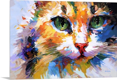 Colorful Cat's Gaze