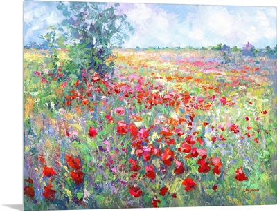 Tuscan Wildflower Field