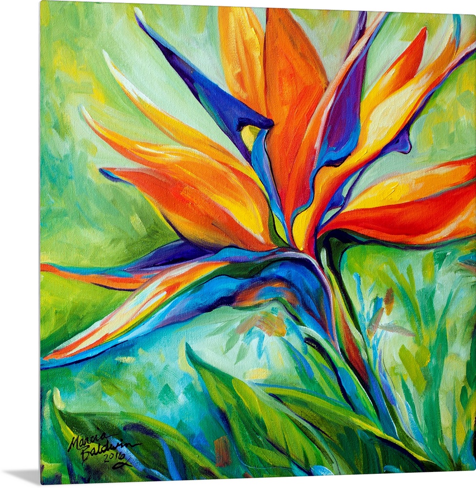 A floral abstract original oil painting of the Bird of Paradise blossom on a square background.