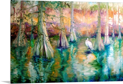 Cypress And White Heron
