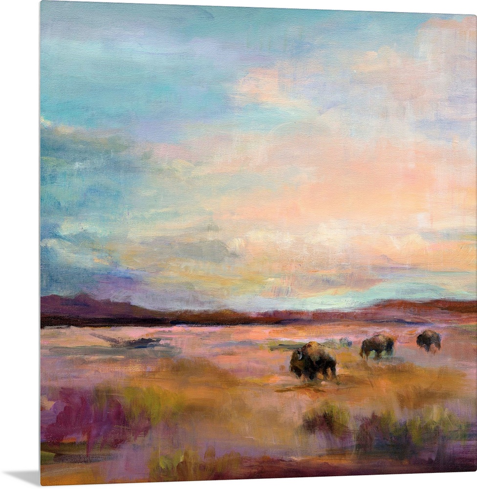 Buffalo Under Big Sky