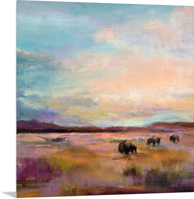 Buffalo Under Big Sky