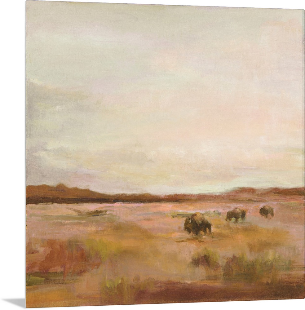 Buffalo Under Big Sky Warm