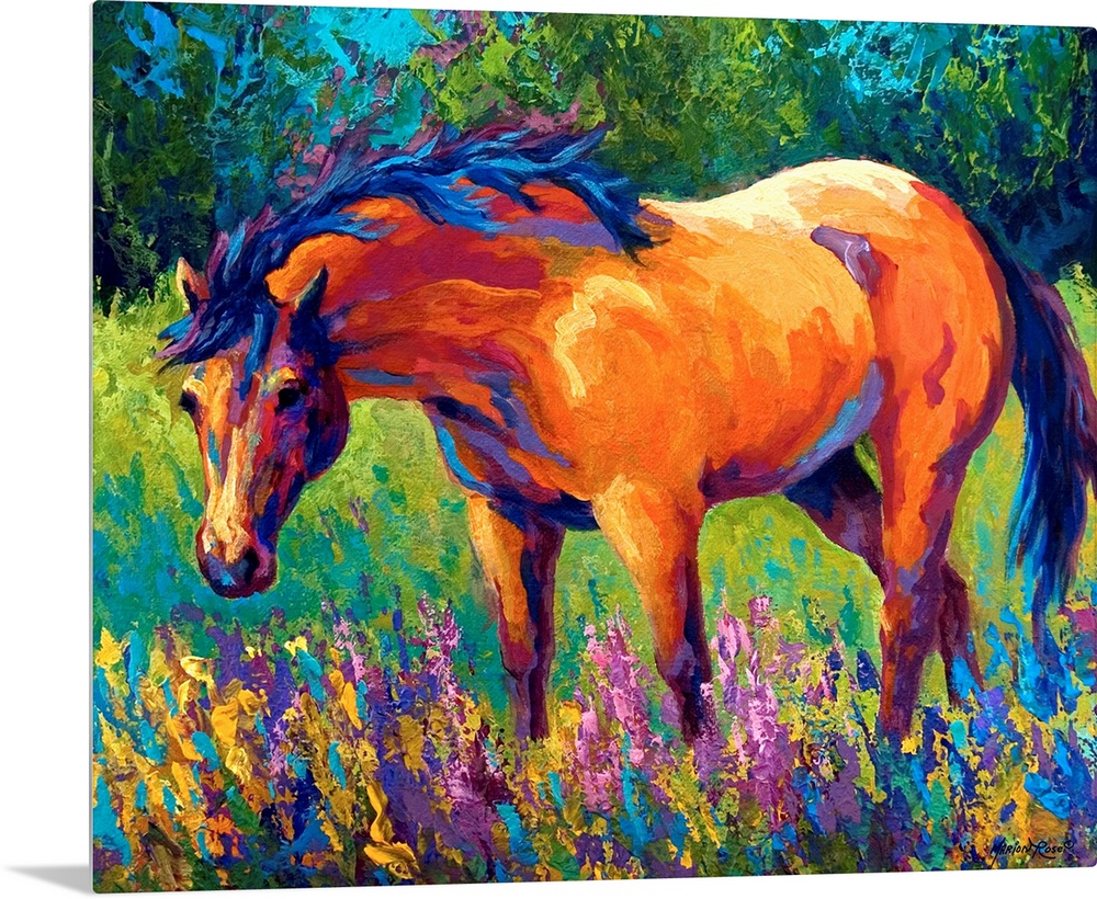 A contemporary painting of a horse gazing in the outdoors surrounded by wild flowers; this horizontal painting makes use o...