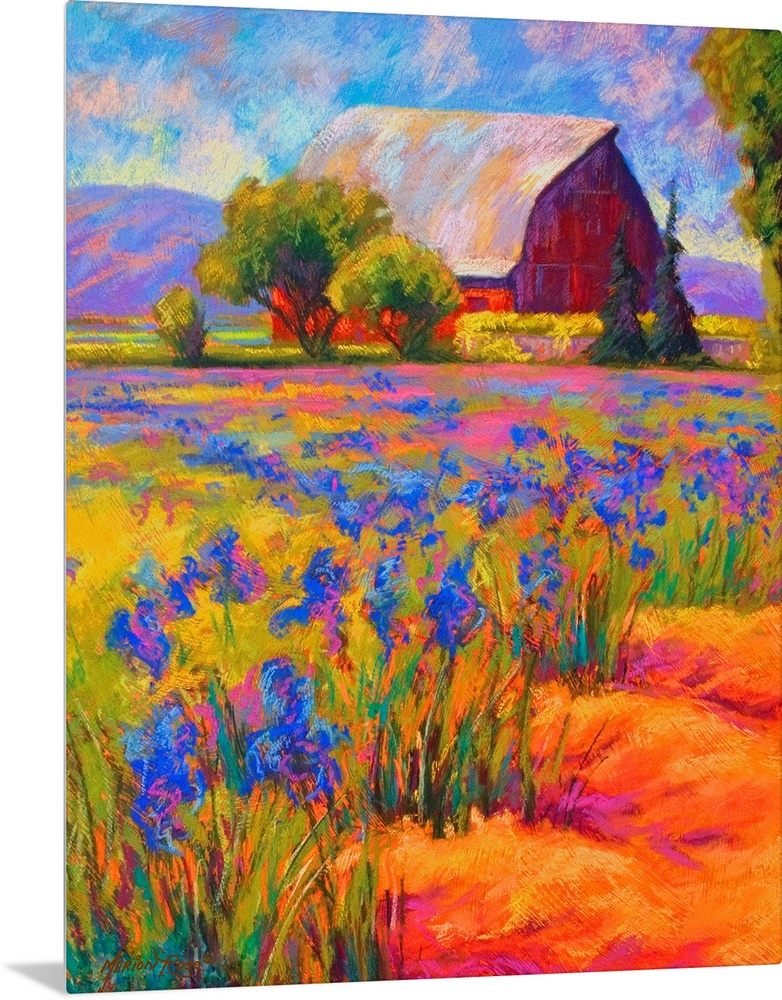 Portrait, oversized wall painting of a large field of Iris flowers, with a large barn surrounded by trees in the backgroun...
