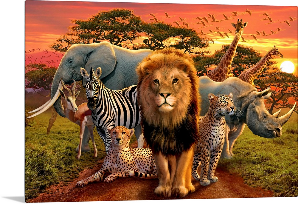 Large illustration of a lion, zebra, elephant, rhinoceros, gazelle, cheetahs, giraffes and birds as they occupy the plains...