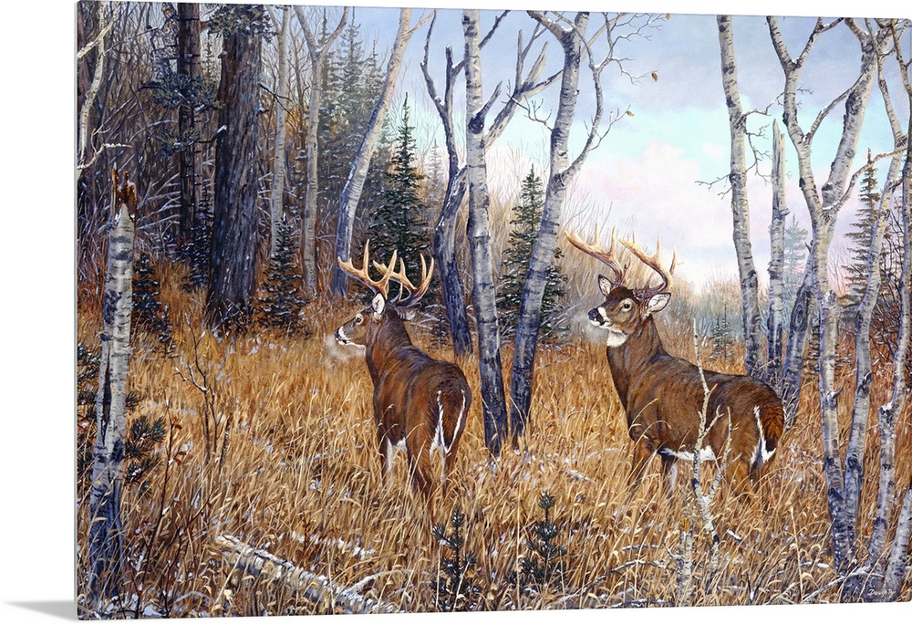 Artwork of two deer in the woods.