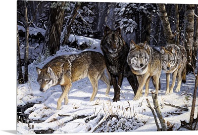 On the Night Trail Wolves