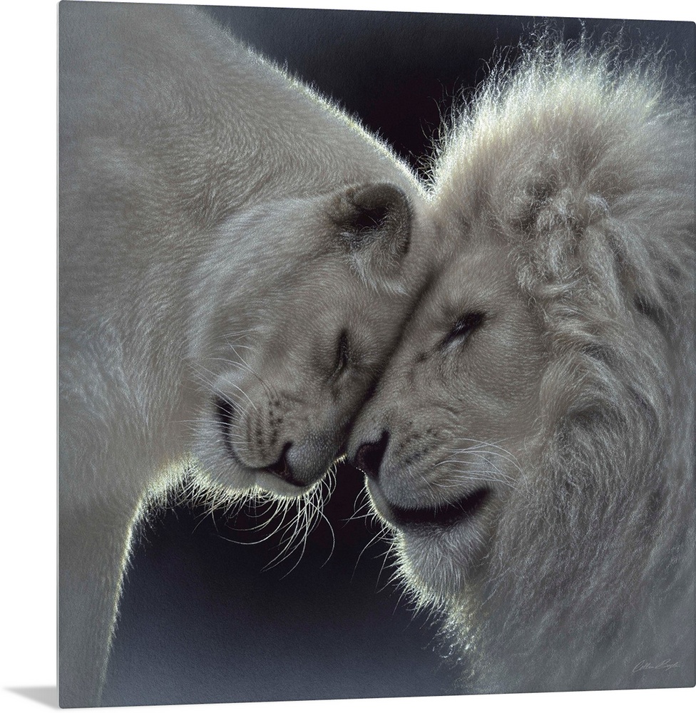 White Lion Love