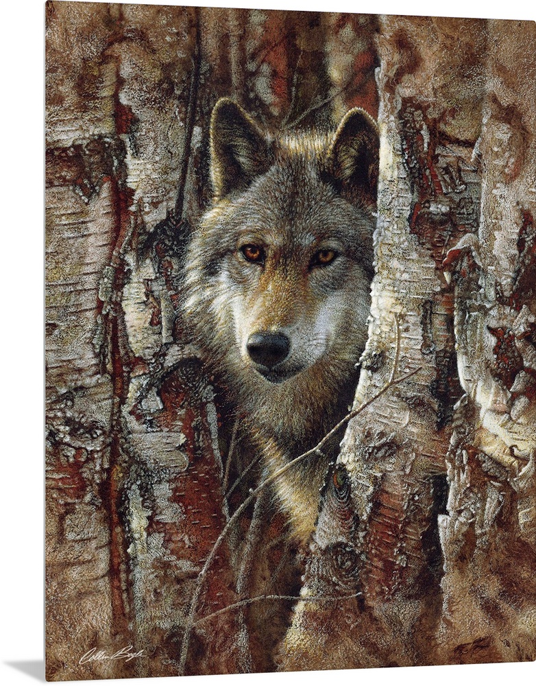 Wolf - Woodland Spirit