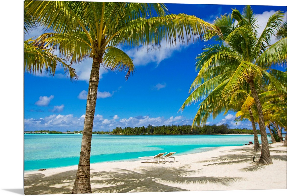 Tropical Palm Trees and white sand beaches in Bora Bora in the French Polynesian islands.